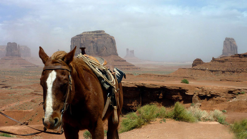 미국땅이 하룻밤 사이에 2배로 늘어난 이유는? | 인스티즈