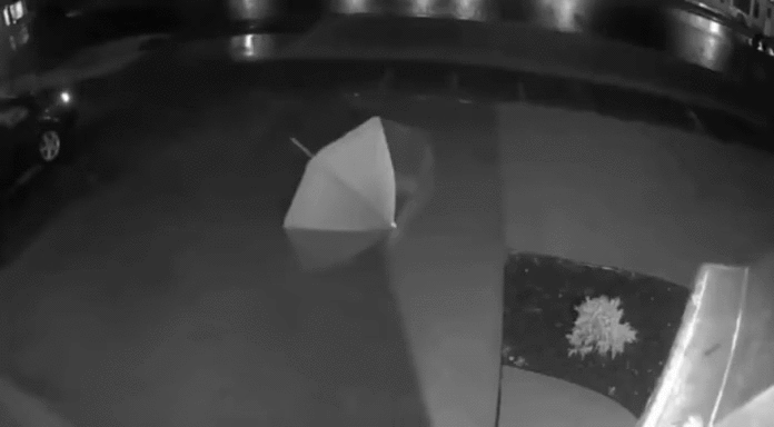 우산이란 생명체.gif | 인스티즈