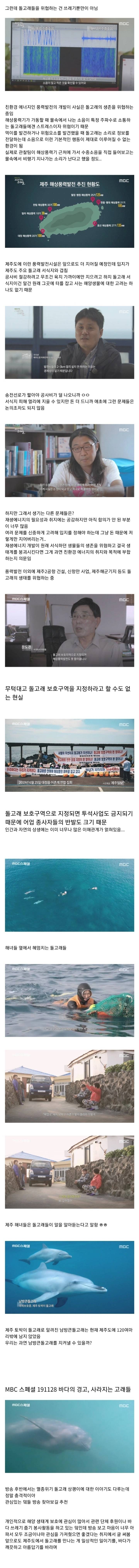 제주도에서 발견된 암에 걸린 돌고래 | 인스티즈