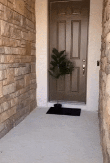 미국 대표 택배3사의 서비스 차이 | 인스티즈