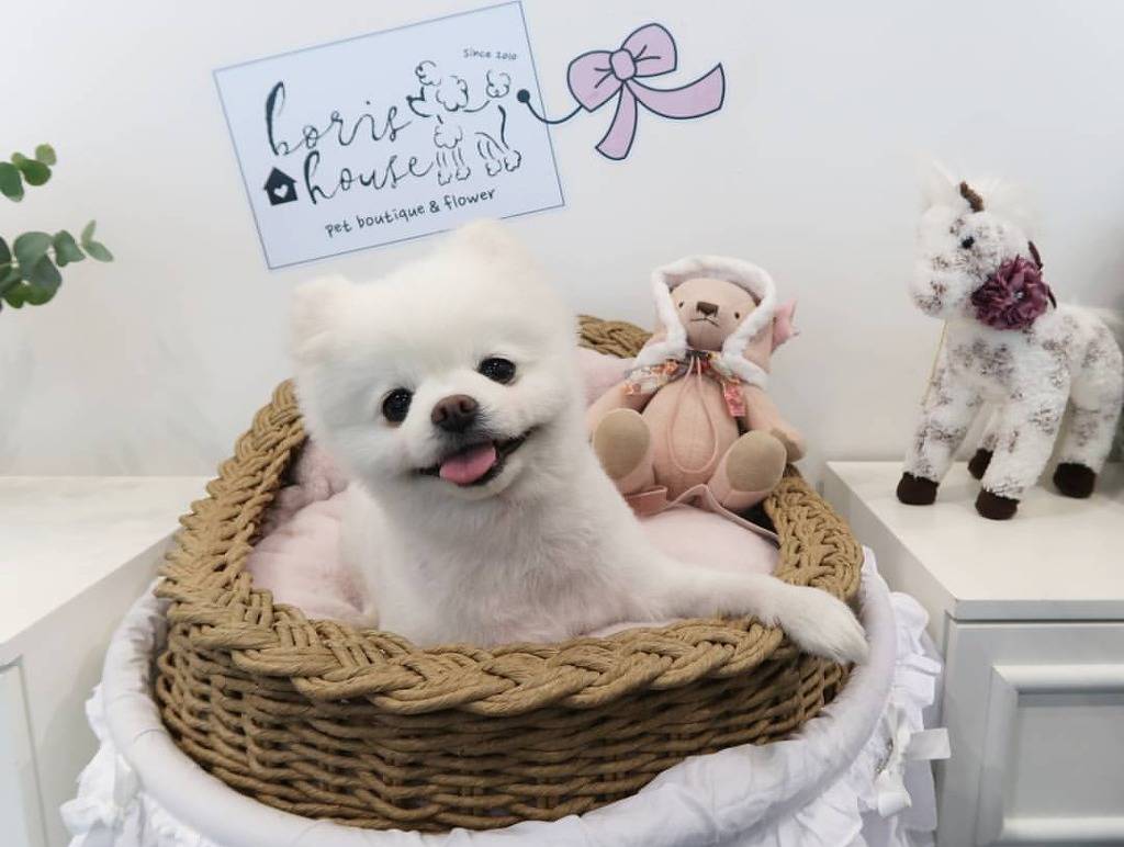 차 있는 사람의 장점 | 인스티즈