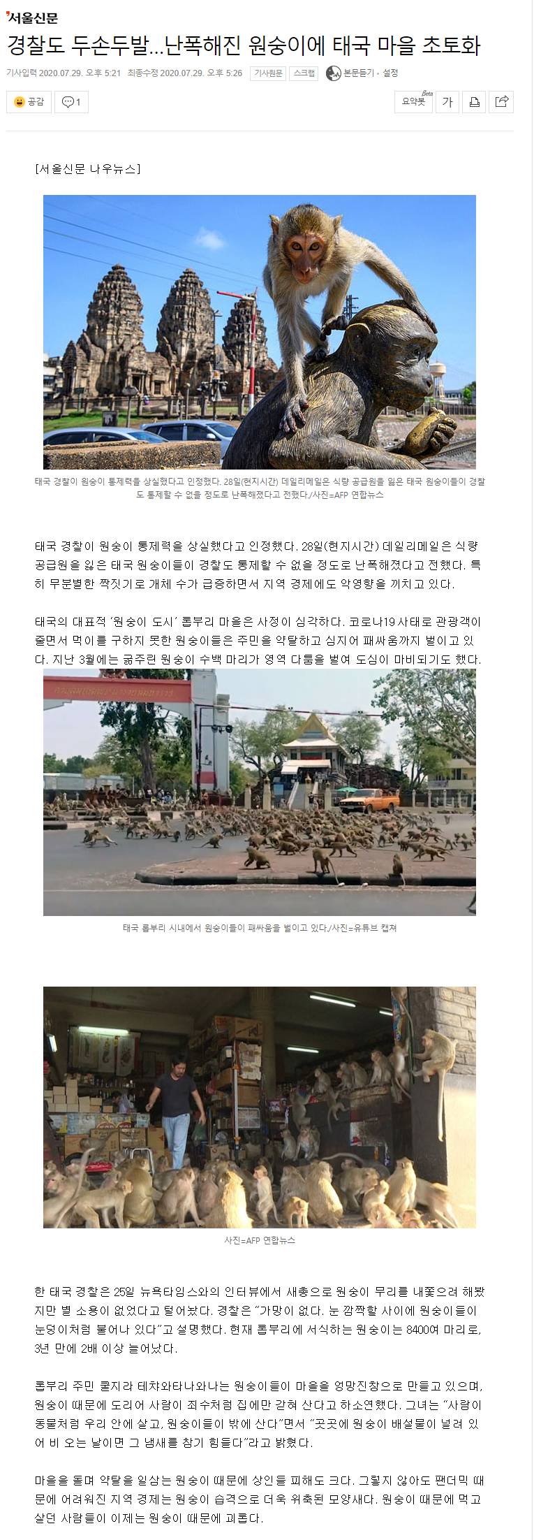 경찰도 두손두발…난폭해진 원숭이에 태국 마을 초토화 | 인스티즈