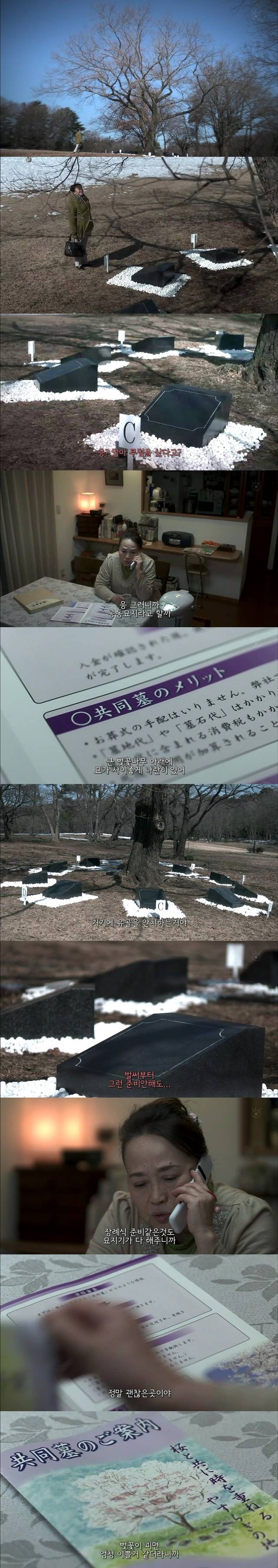 [BGM/소름주의/스압주의] 2014 기묘한 이야기 봄 특별편 - 무덤친구 | 인스티즈