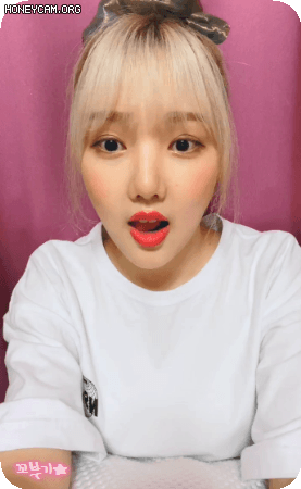 일요일 밤 Vlive로 찾아온 여자친구 예린이.gif | 인스티즈