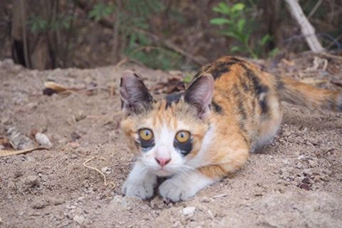 ???: 아 다크써클 아니라고 | 인스티즈