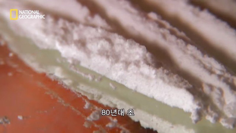 80년대 부자의 상징 코카인?.JPG | 인스티즈