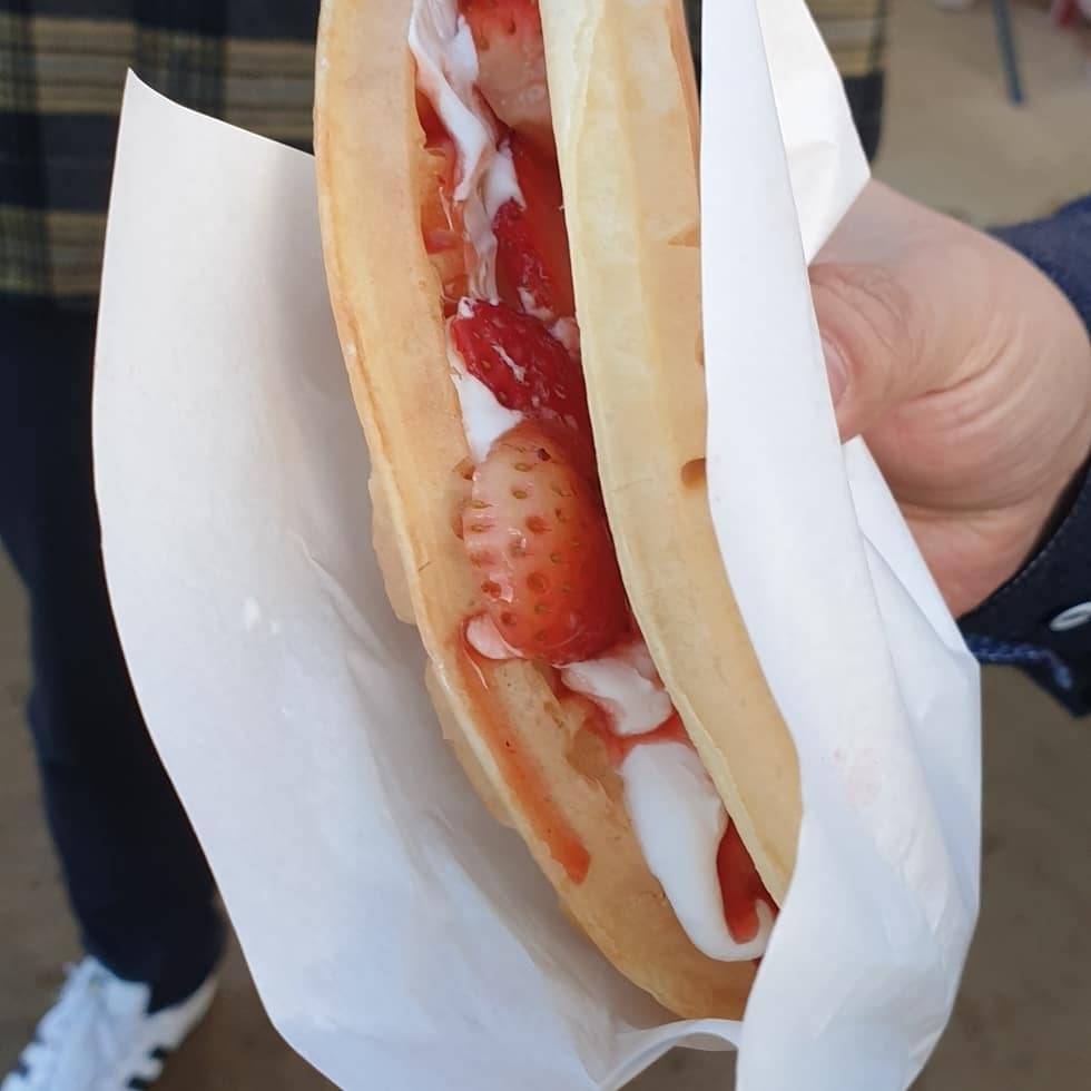 코로나 때문에 취소됐다는 논산딸기축제.......jpg | 인스티즈