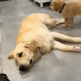 엄마품이좋은 아기인절미 | 인스티즈