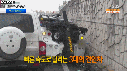 렉카.GIF | 인스티즈