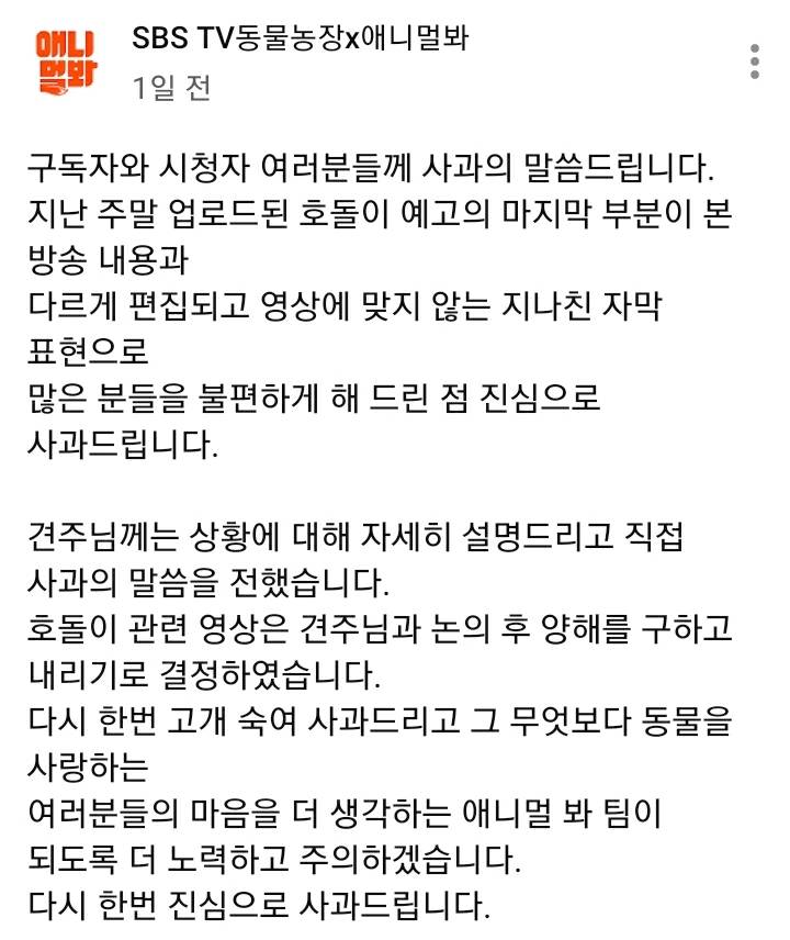 애니멀봐(동물농장 유튜브) 사과문 공지 | 인스티즈