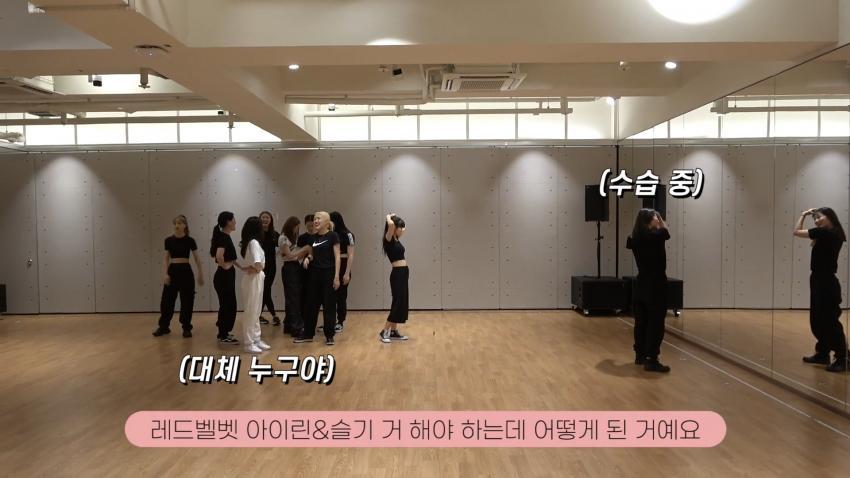 레드벨벳 아이린의 진짜 성격을 볼 수 있는 브이로그 | 인스티즈