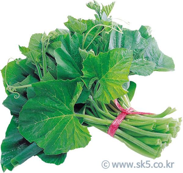 여러분들이 대변 본 후 닦기위해 사용하는 것은? | 인스티즈