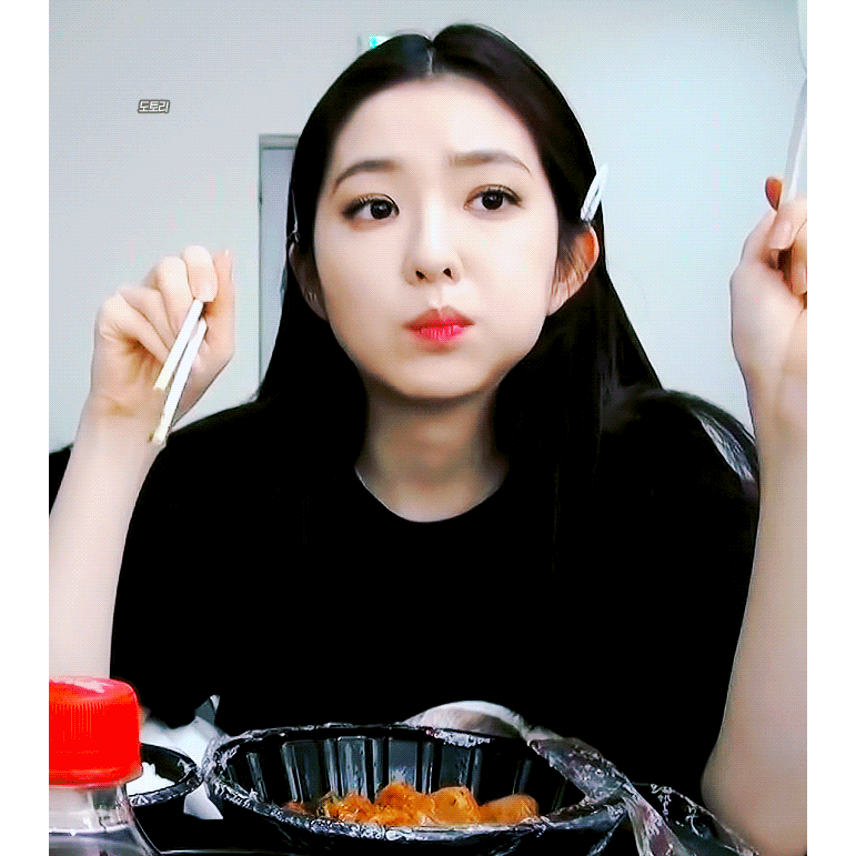 레드벨벳 아이린의 진짜 성격을 볼 수 있는 브이로그 | 인스티즈