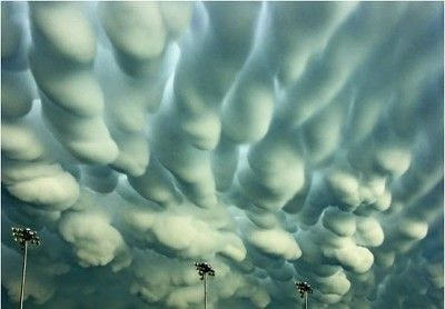 실제로 보면 얼어붙는다는 자연현상 | 인스티즈