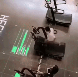 헬스장 근황.gif | 인스티즈