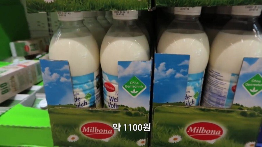 독일에서 마트 장보기.jpg | 인스티즈