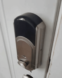 사모예드 눈구경 | 인스티즈