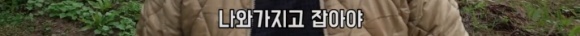 이번 유튜브 사태에서 클린한 유튜버 | 인스티즈