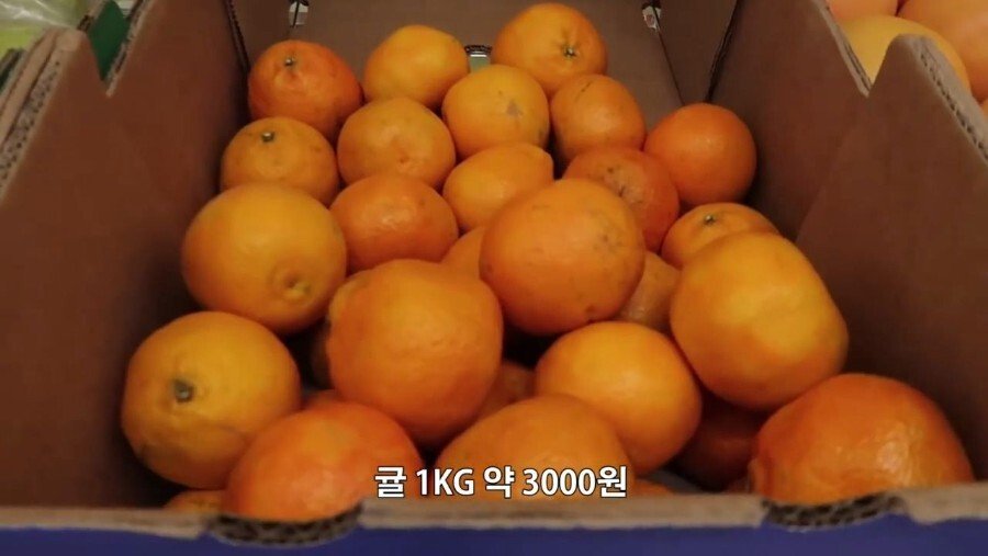 독일에서 마트 장보기.jpg | 인스티즈