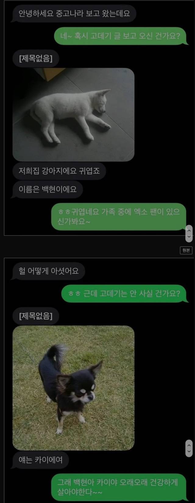 평화로운 중고나라.jpg | 인스티즈