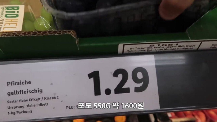 독일에서 마트 장보기.jpg | 인스티즈