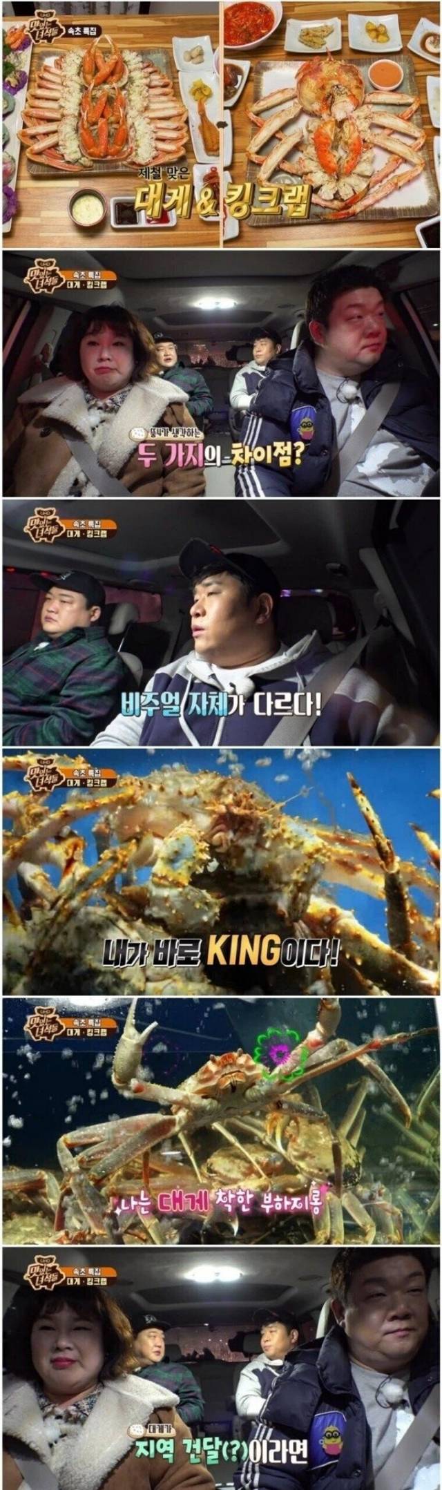 대게와 킹크랩의 차이 | 인스티즈