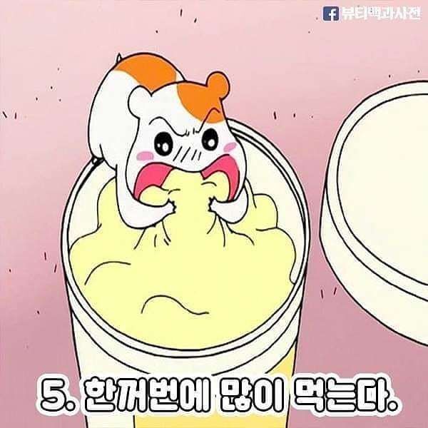 살찌는 습관들.JPG | 인스티즈