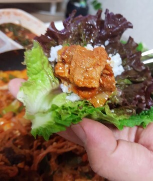 쌈 싸먹을때 많이 갈리는 유형.jpg | 인스티즈