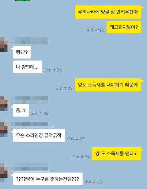 우리나라에서 양을 안 키우는 이유는 뭘까요~? | 인스티즈