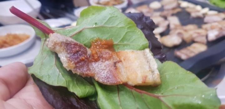 쌈 싸먹을때 많이 갈리는 유형.jpg | 인스티즈