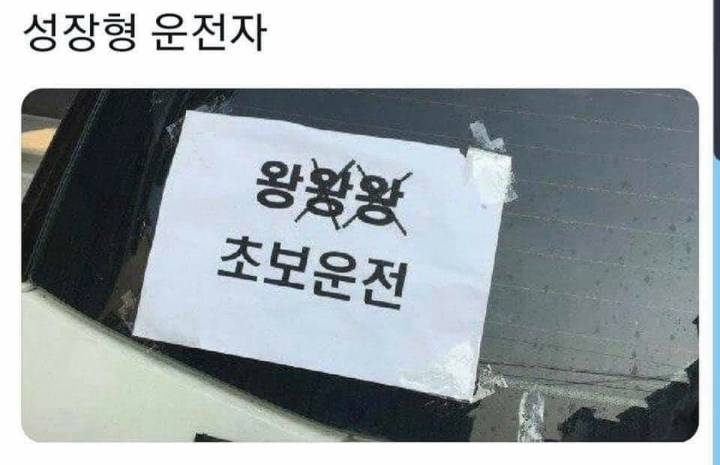 성장형 운전자 | 인스티즈