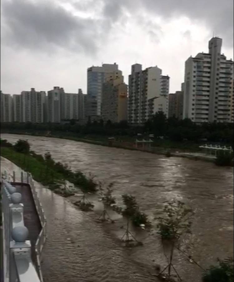 현시각 중랑천 | 인스티즈