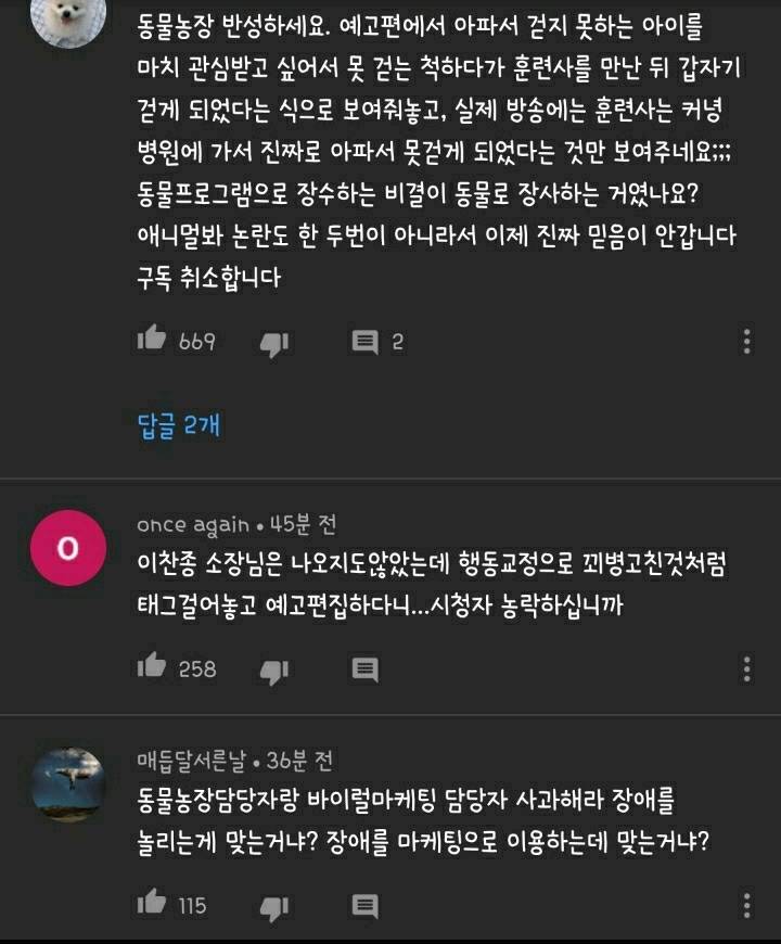 현재 본방 끝나고 호돌이 / 시청자 우롱 으로 논란 중인 동물농장 | 인스티즈