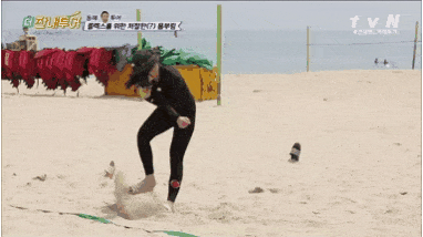 조이와 박명수의 환상 호흡.gif | 인스티즈