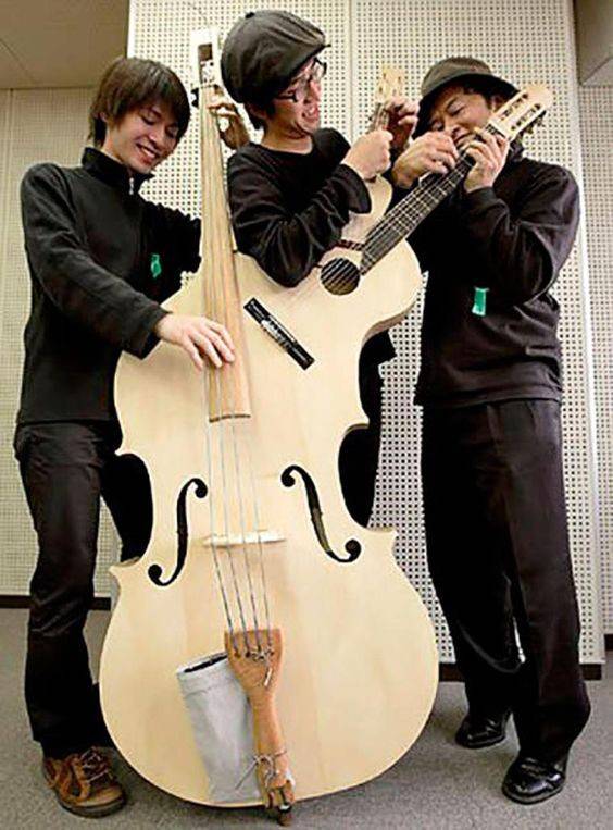 특이하게 생긴 악기들.jpg | 인스티즈