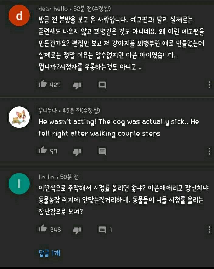 현재 본방 끝나고 호돌이 / 시청자 우롱 으로 논란 중인 동물농장 | 인스티즈