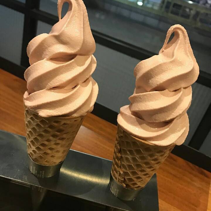 주관적인 아이스크림 맛집 중 하나.JPG | 인스티즈