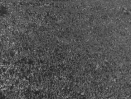 프랑스에게 전쟁 선포하던 시절 히틀러의 인기........jpg,gif | 인스티즈