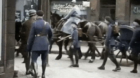 프랑스에게 전쟁 선포하던 시절 히틀러의 인기........jpg,gif | 인스티즈