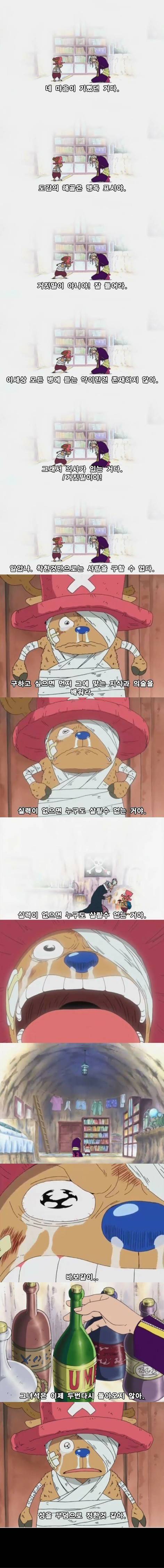 개인적으로 생각하는 원피스 에피소드 중 가장 슬픈 에피소드 | 인스티즈