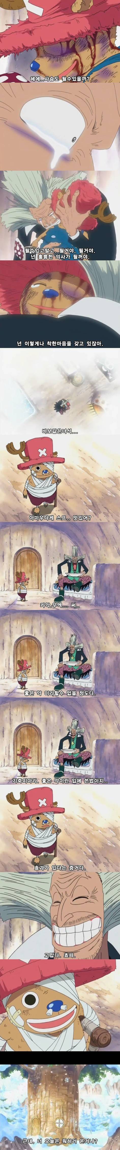 개인적으로 생각하는 원피스 에피소드 중 가장 슬픈 에피소드 | 인스티즈