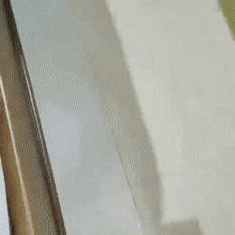 빈정 제대로 상한 고양이들.gif | 인스티즈