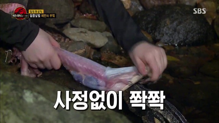 도마뱀 가죽 벗기는 여자 아이돌.jpg | 인스티즈