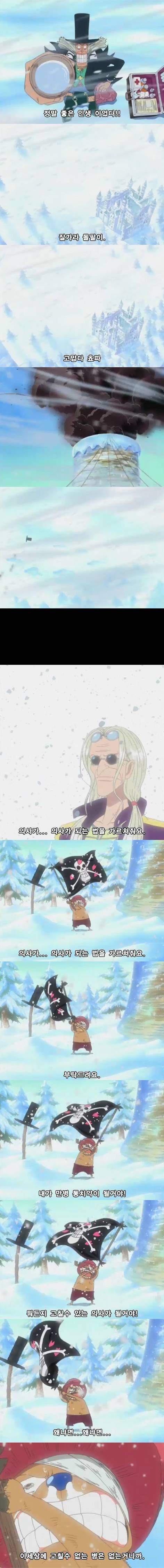 개인적으로 생각하는 원피스 에피소드 중 가장 슬픈 에피소드 | 인스티즈