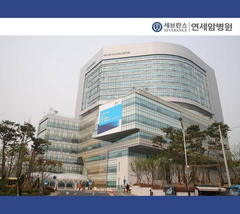 서울에 살아야하는 이유를 꼽으라면? | 인스티즈