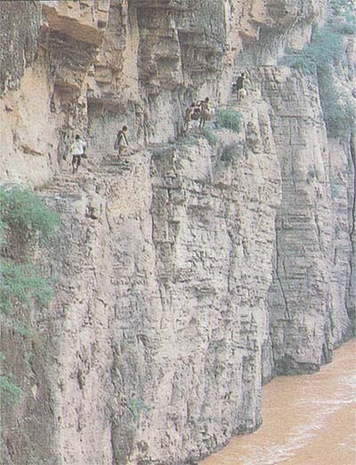 삼국지) 위연의 자오곡계책이 실현 가능성 있다고 믿게된 이유 | 인스티즈