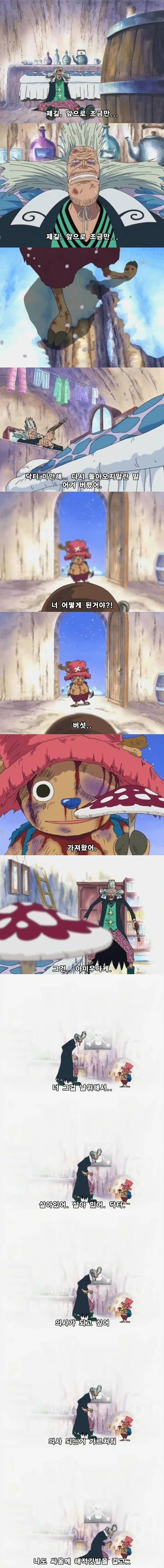 개인적으로 생각하는 원피스 에피소드 중 가장 슬픈 에피소드 | 인스티즈