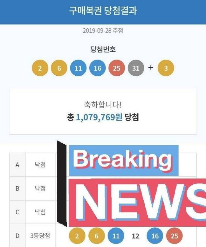 걸그룹에게 로또 번호를 물어봤다 | 인스티즈