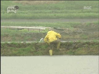 누가 뭐라고 해도 무한도전의 최전방 원톱 스트라이커.jpgif | 인스티즈