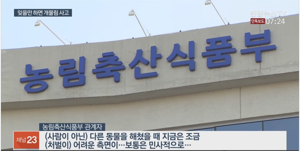 입마개 안한 로트와일러가 지나가는 행인과 강아지 공격해 강아지 15초만에 죽임 | 인스티즈